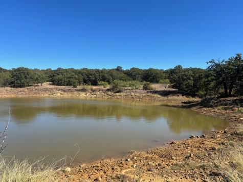 Tbd Uselton Road Loving TX 76460