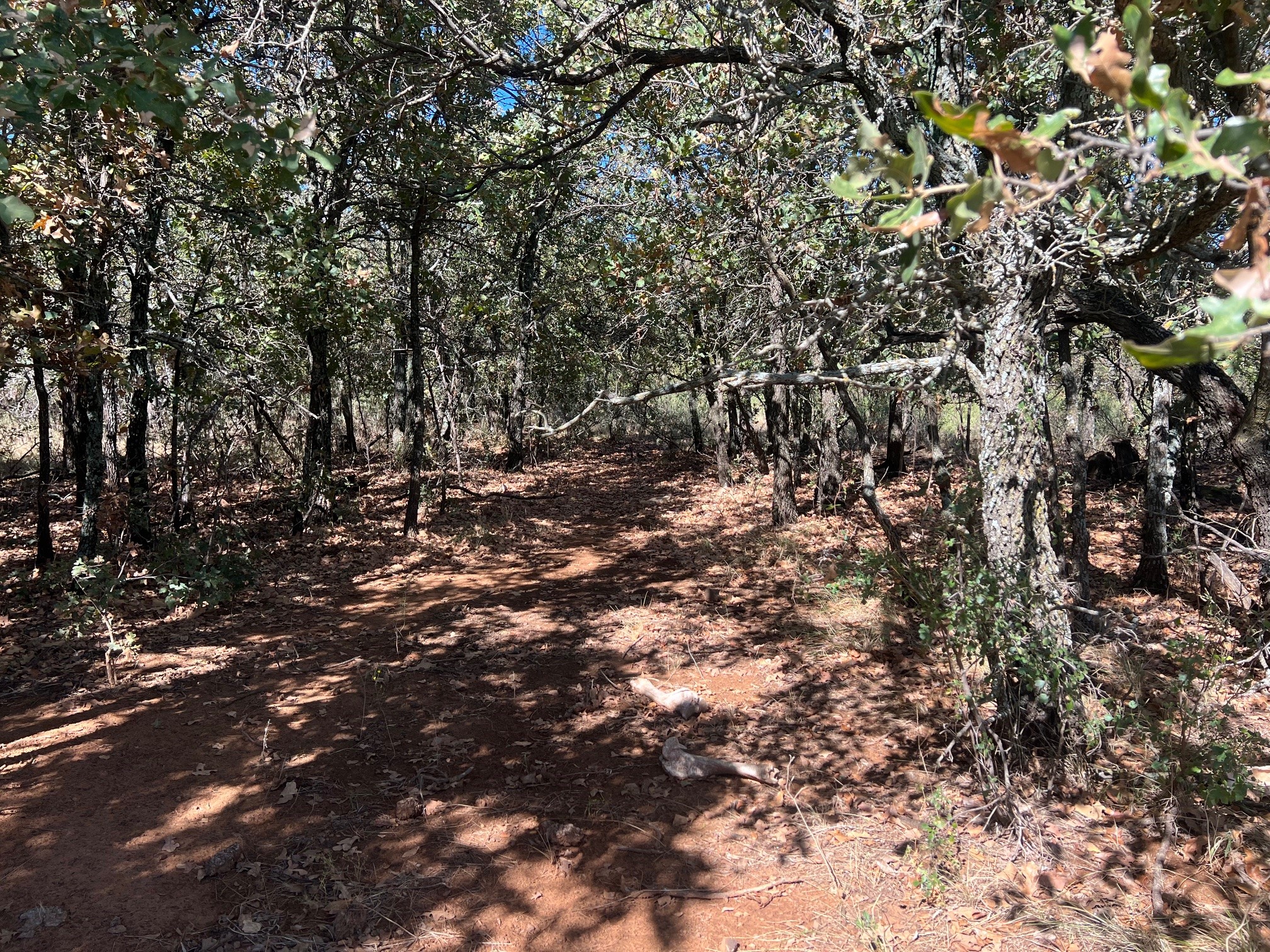 Tbd Uselton Road Loving TX 76460