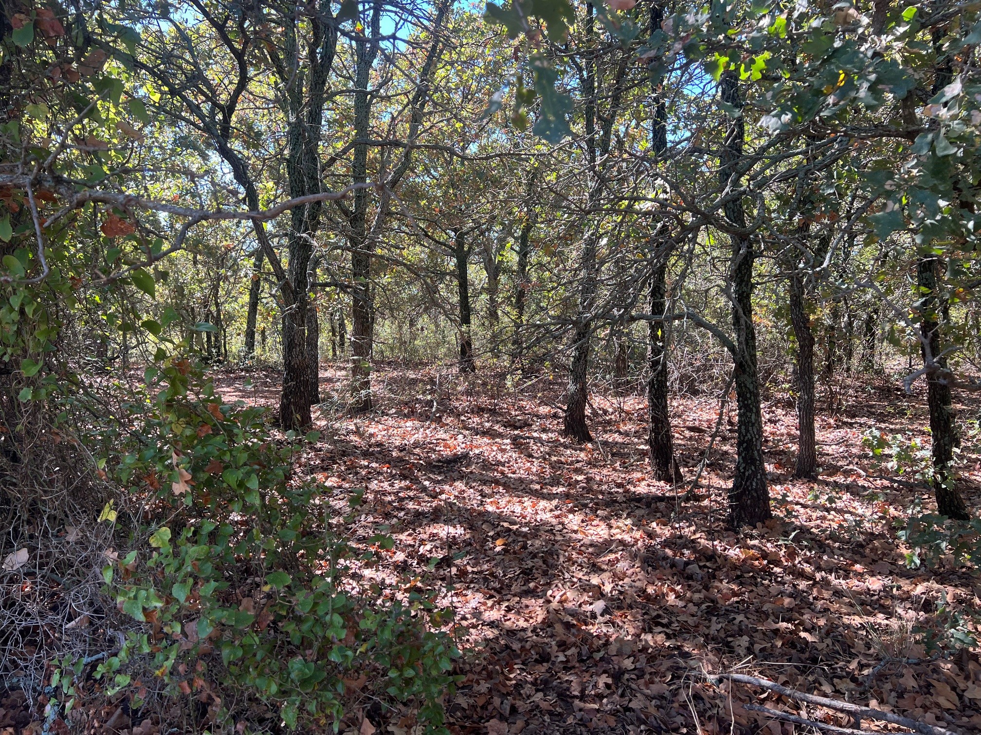 Tbd Uselton Road Loving TX 76460