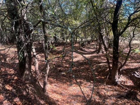 TBD Uselton Road Loving TX 76460