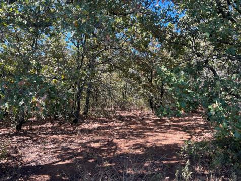 Tbd Uselton Road Loving TX 76460