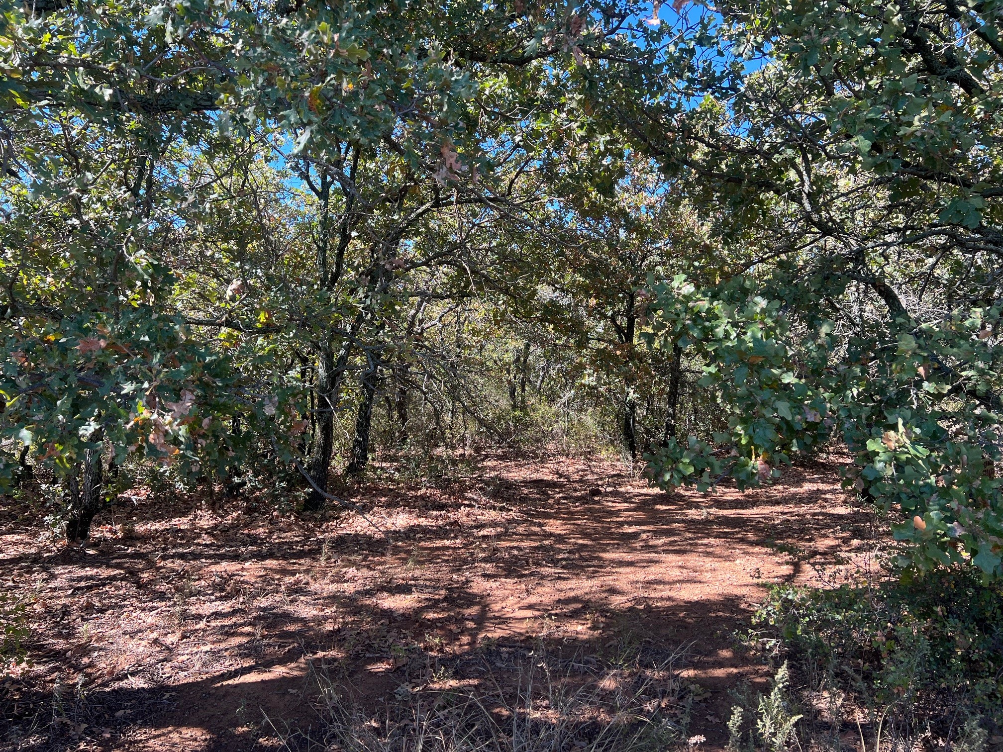 Tbd Uselton Road Loving TX 76460