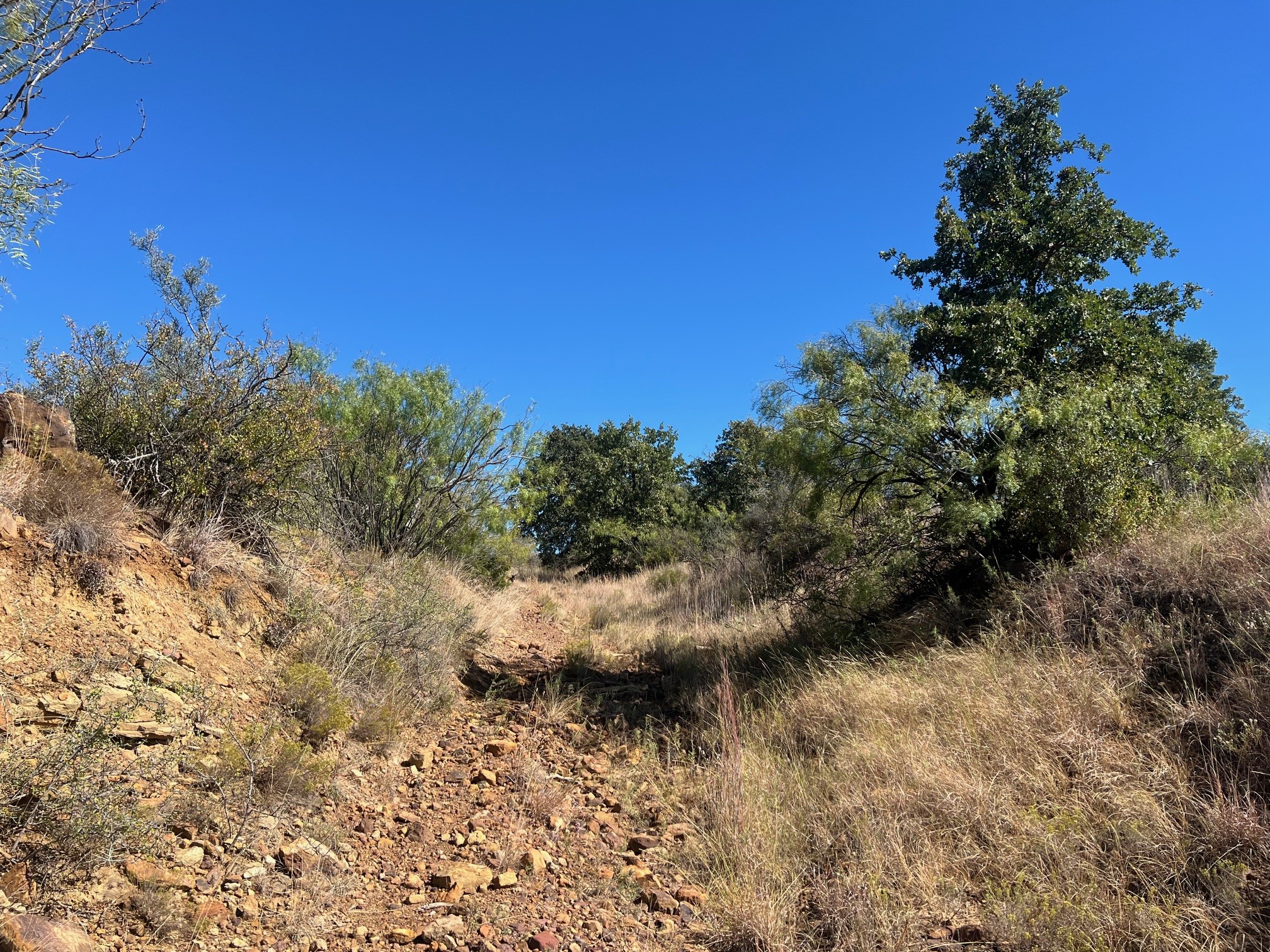 Tbd Uselton Road Loving TX 76460