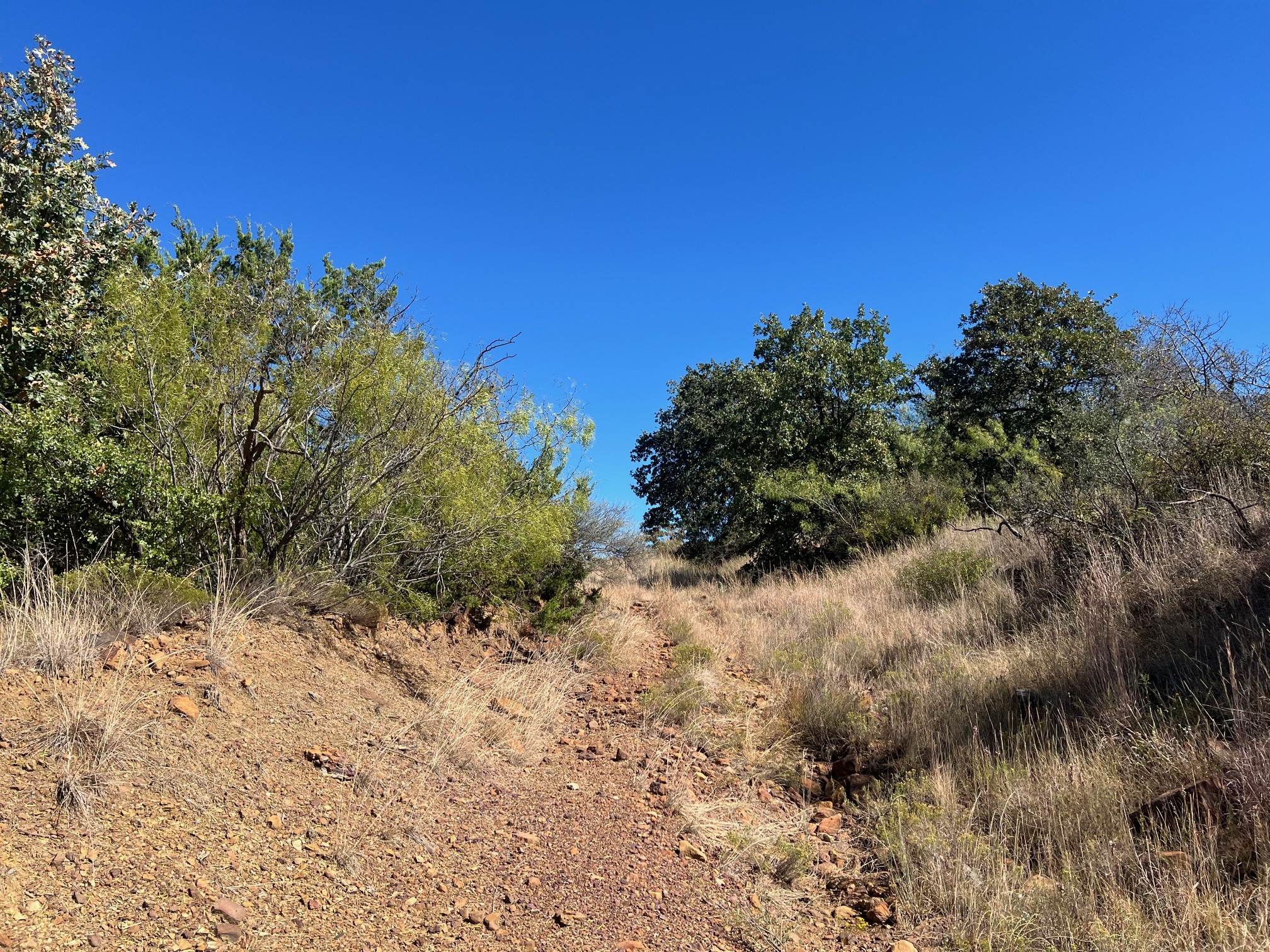 Tbd Uselton Road Loving TX 76460