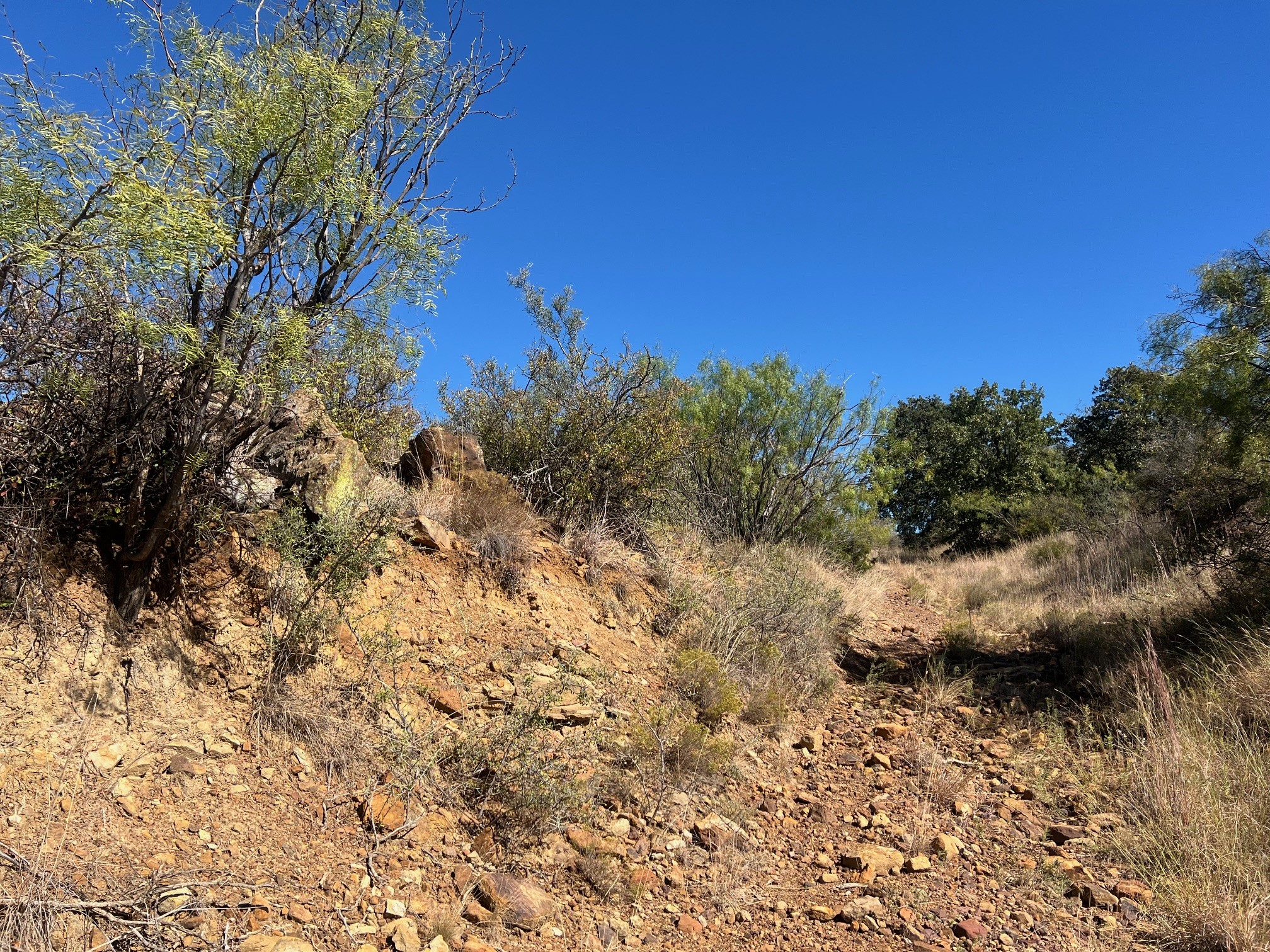 Tbd Uselton Road Loving TX 76460