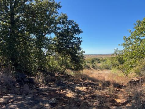 Tbd Uselton Road Loving TX 76460
