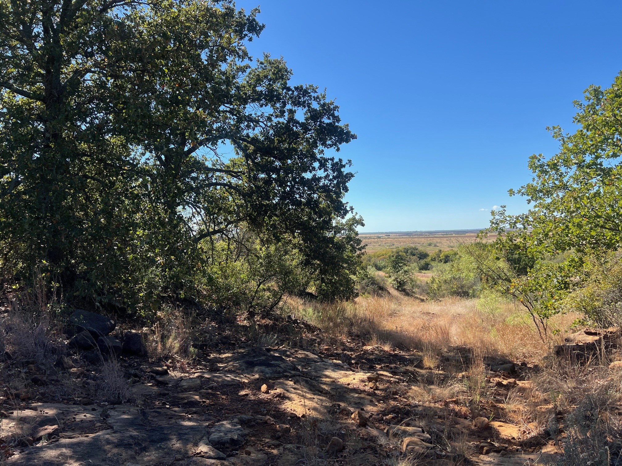 Tbd Uselton Road Loving TX 76460