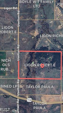 Tbd Uselton Road Loving TX 76460