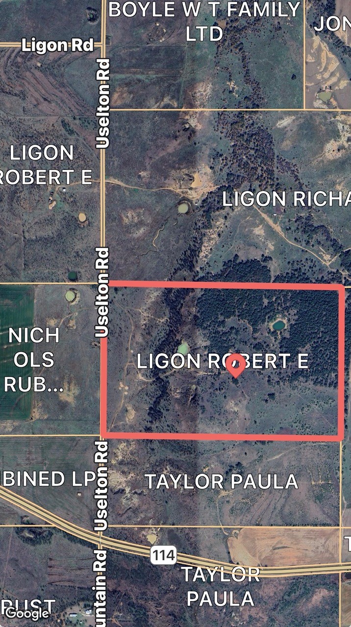 Tbd Uselton Road Loving TX 76460