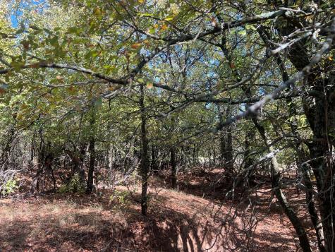 Tbd Uselton Road Loving TX 76460