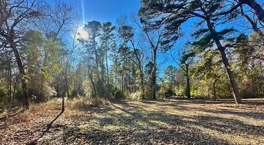1029 Acr 185 Elkhart TX 75839