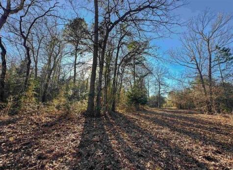 1029 Acr 185 Elkhart TX 75839