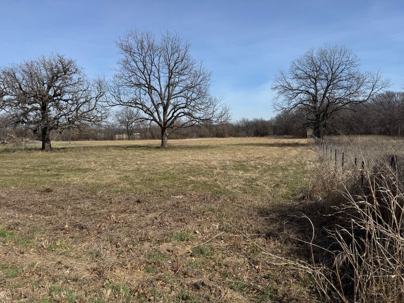 Lot 14 County Road 1346 Chico TX 76431
