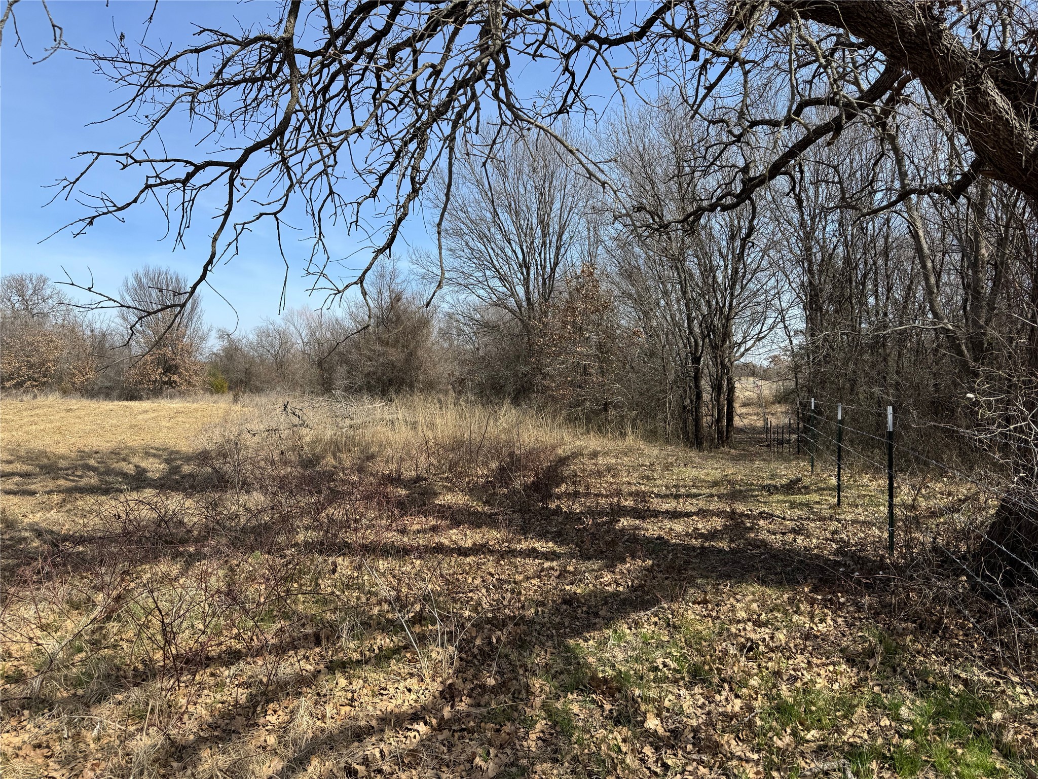 Lot 14 County Road 1346 Chico TX 76431