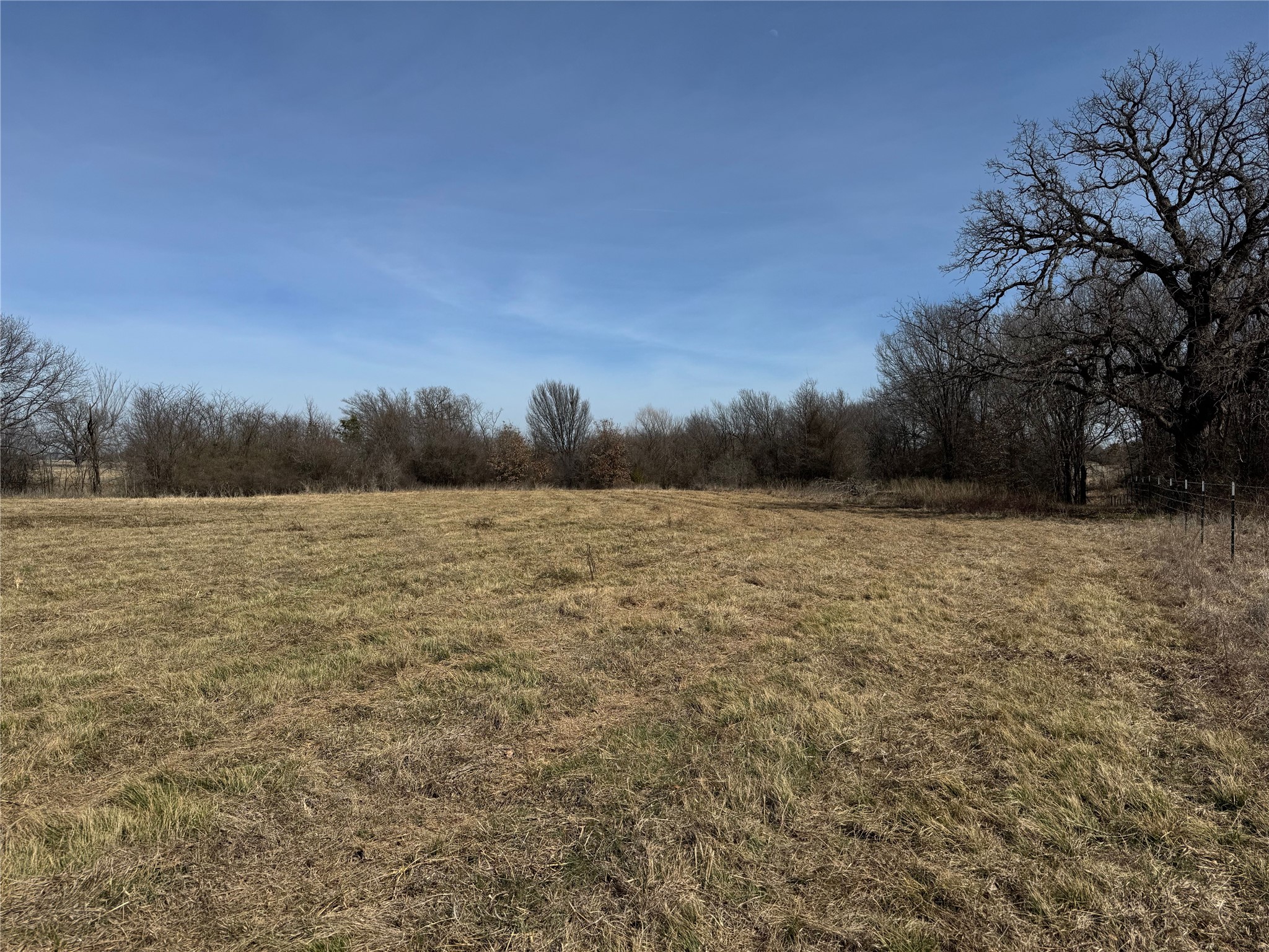 Lot 14 County Road 1346 Chico TX 76431