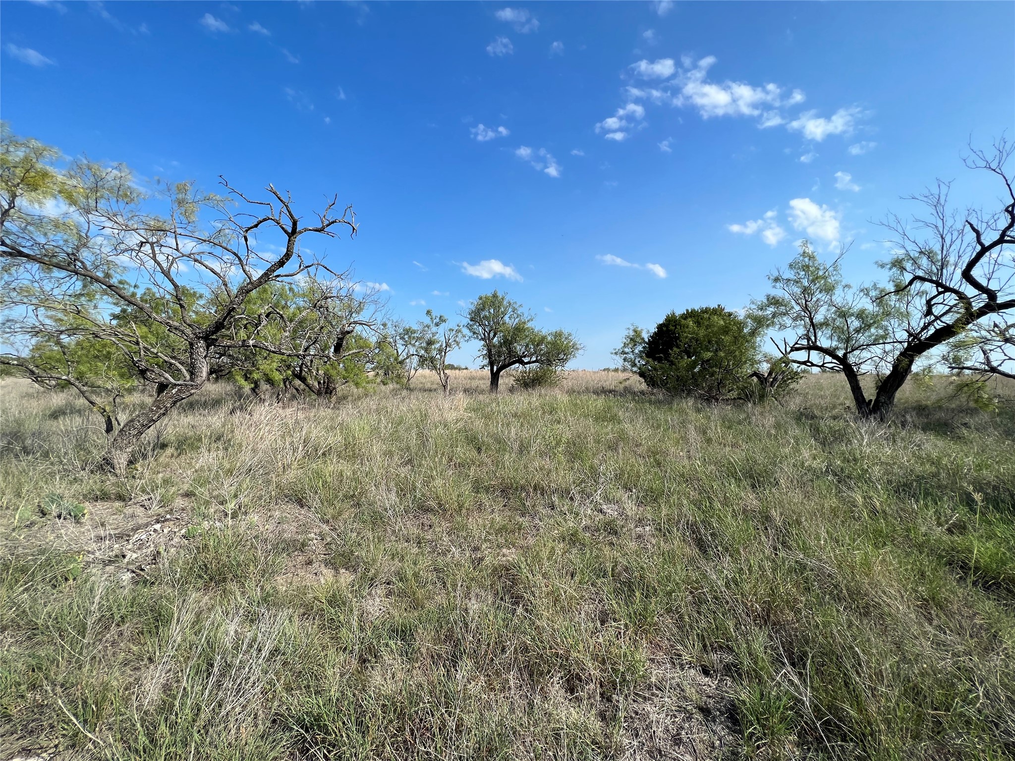 Tbd Fm 2005 Hamilton TX 76531