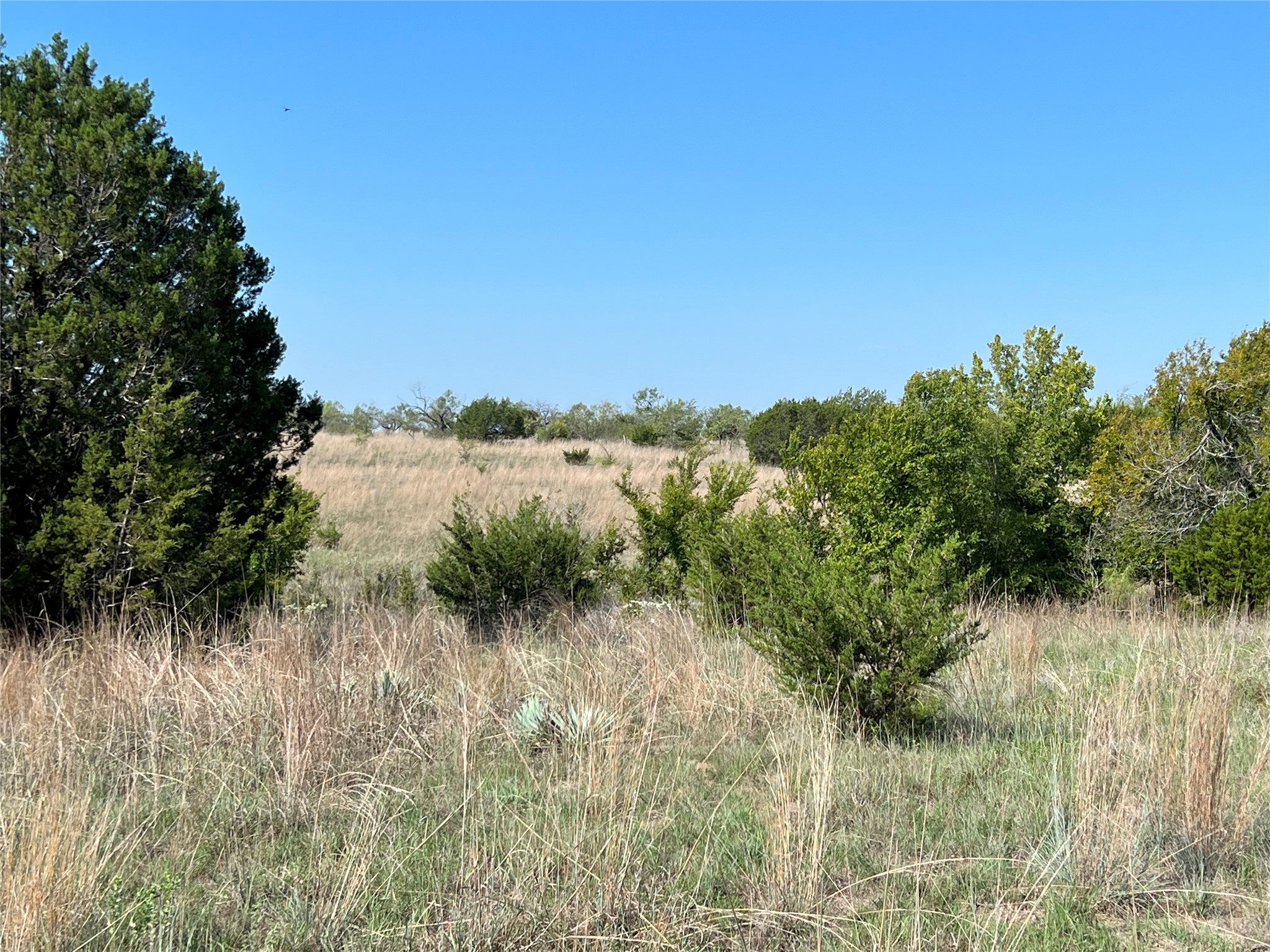 Tbd Fm 2005 Hamilton TX 76531