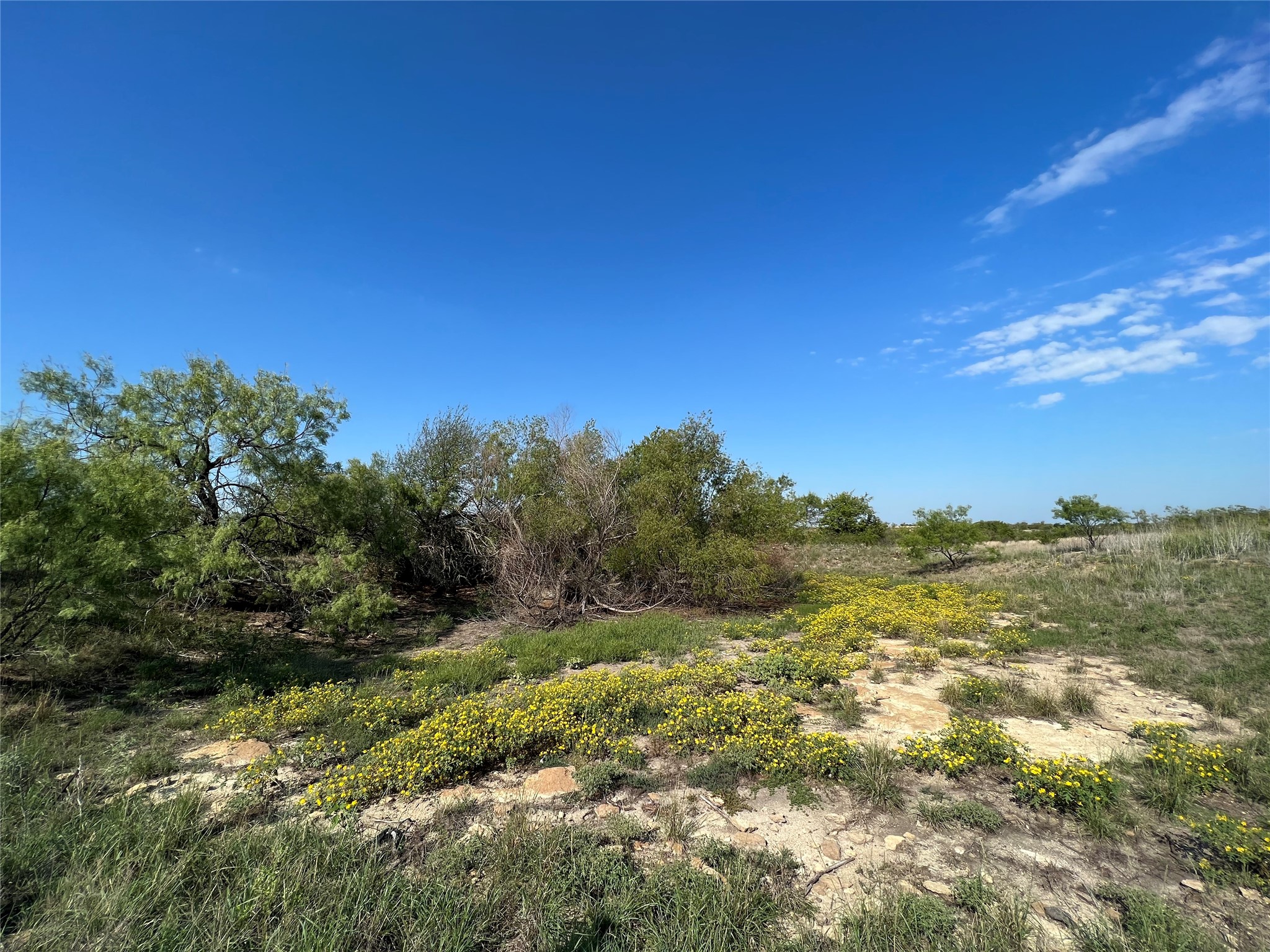Tbd Fm 2005 Hamilton TX 76531