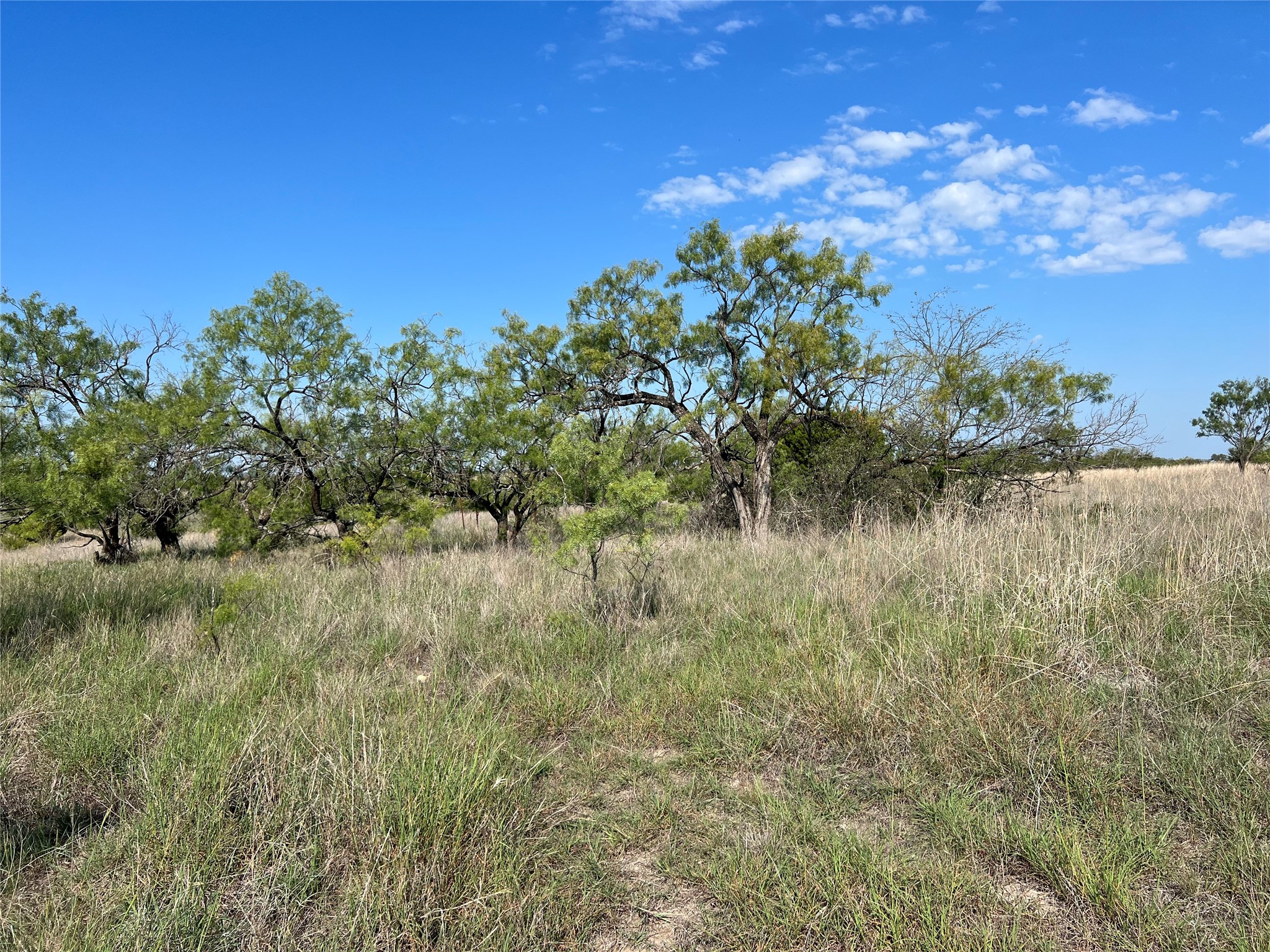 Tbd Fm 2005 Hamilton TX 76531