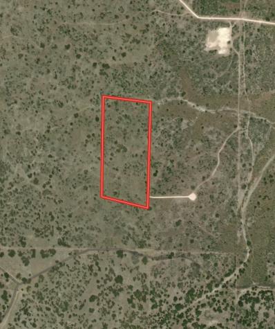 43 Cave Well Ranch Menard TX 76841