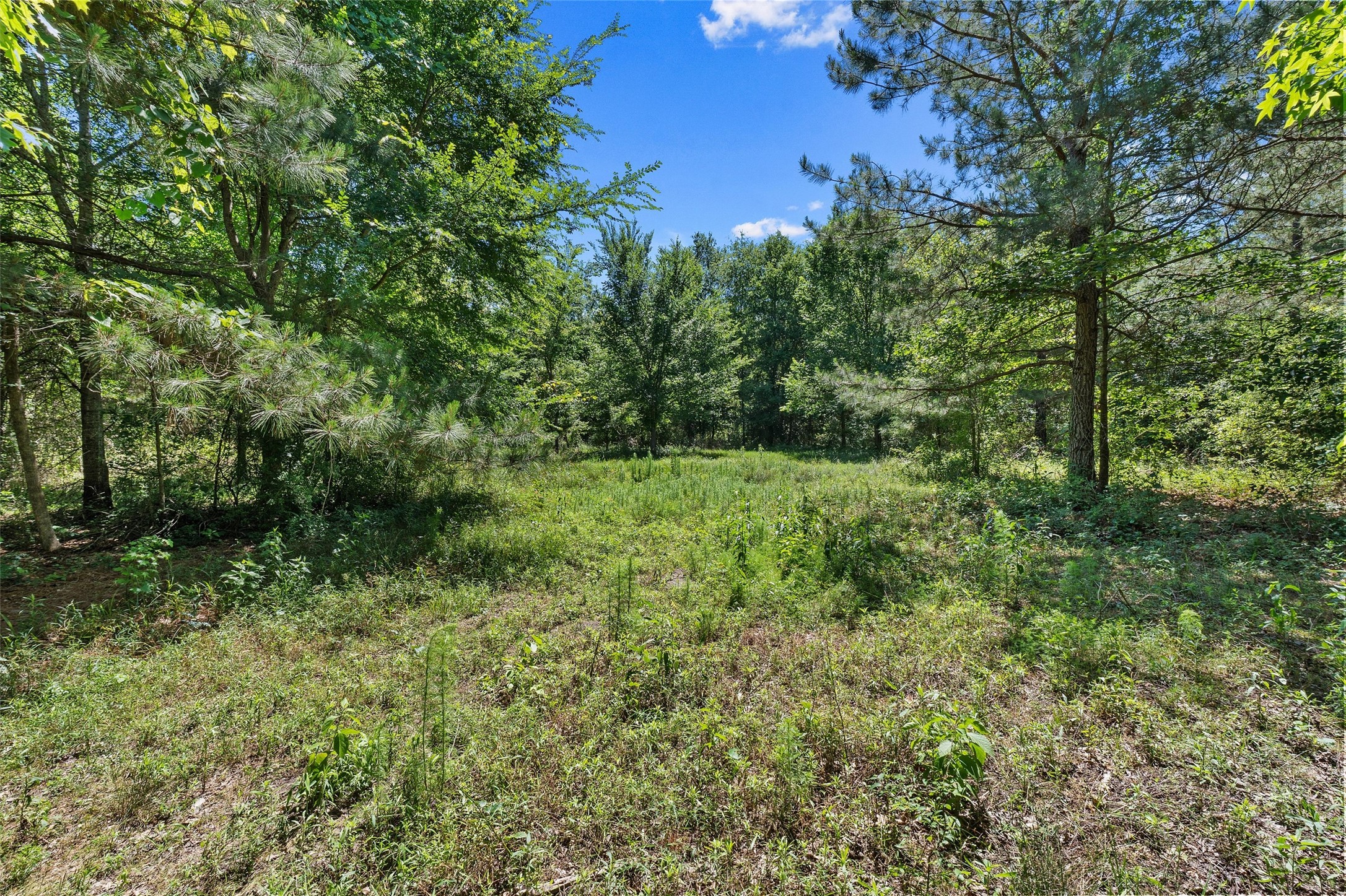 Tbd County Road 3361 De Berry TX 75639