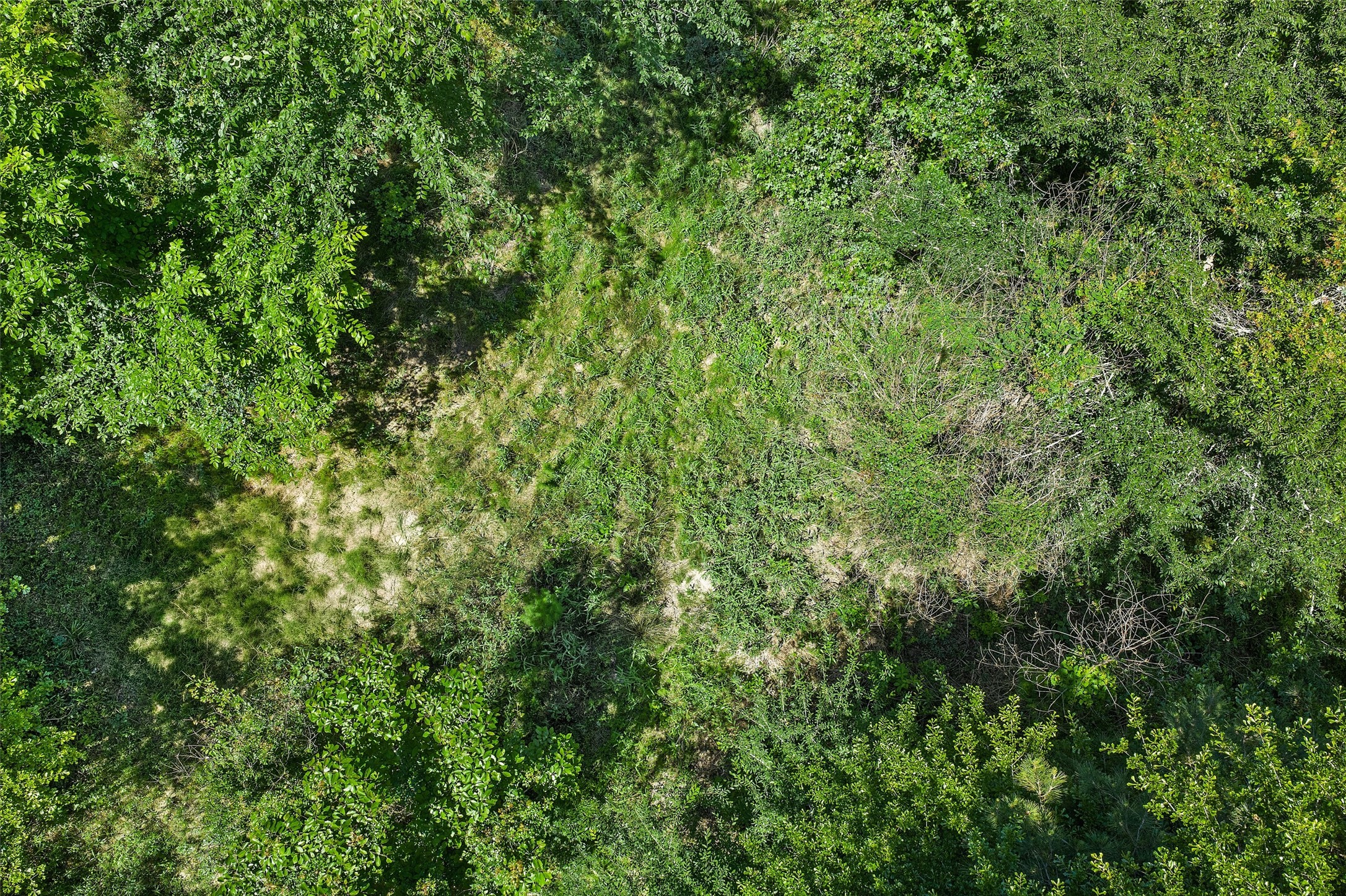 Tbd County Road 3361 De Berry TX 75639