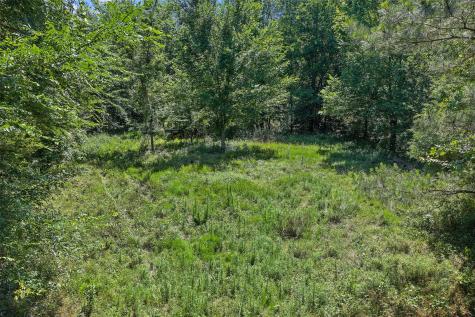 Tbd County Road 3361 De Berry TX 75639