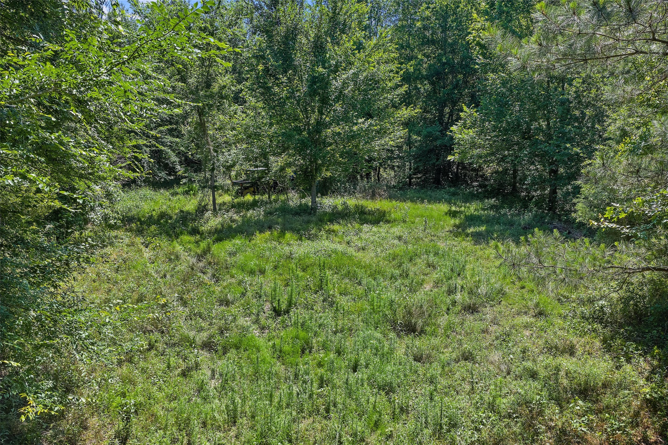 Tbd County Road 3361 De Berry TX 75639
