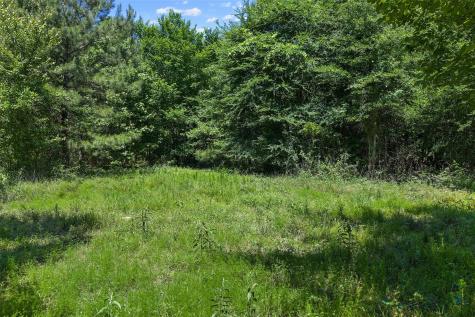 Tbd County Road 3361 De Berry TX 75639