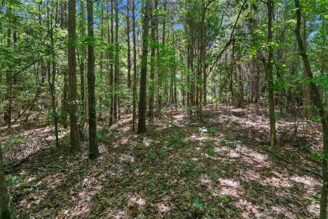 Tbd County Road 3361 De Berry TX 75639