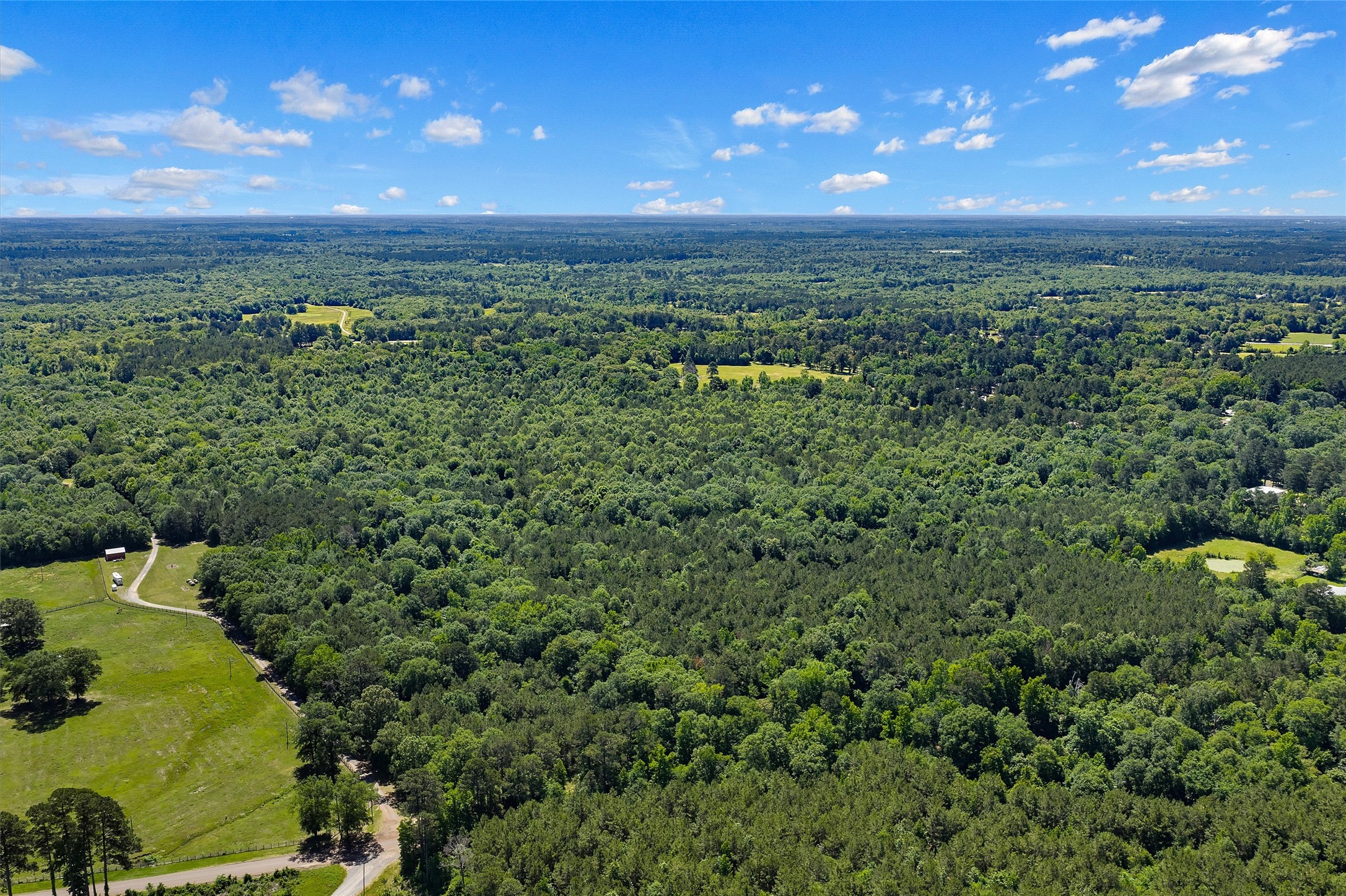 Tbd County Road 3361 De Berry TX 75639
