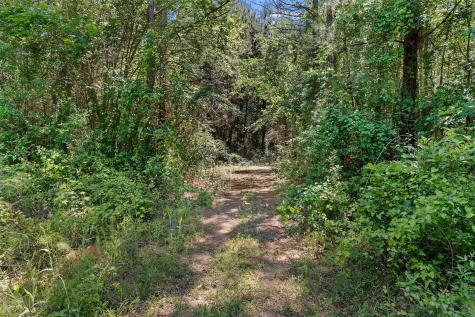 Tbd County Road 3361 De Berry TX 75639