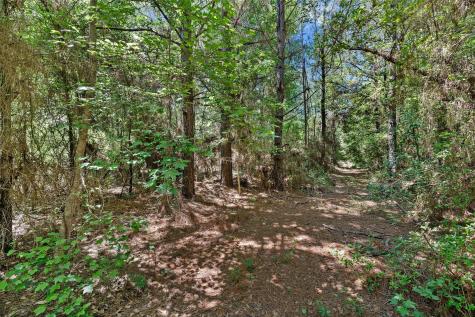 Tbd County Road 3361 De Berry TX 75639