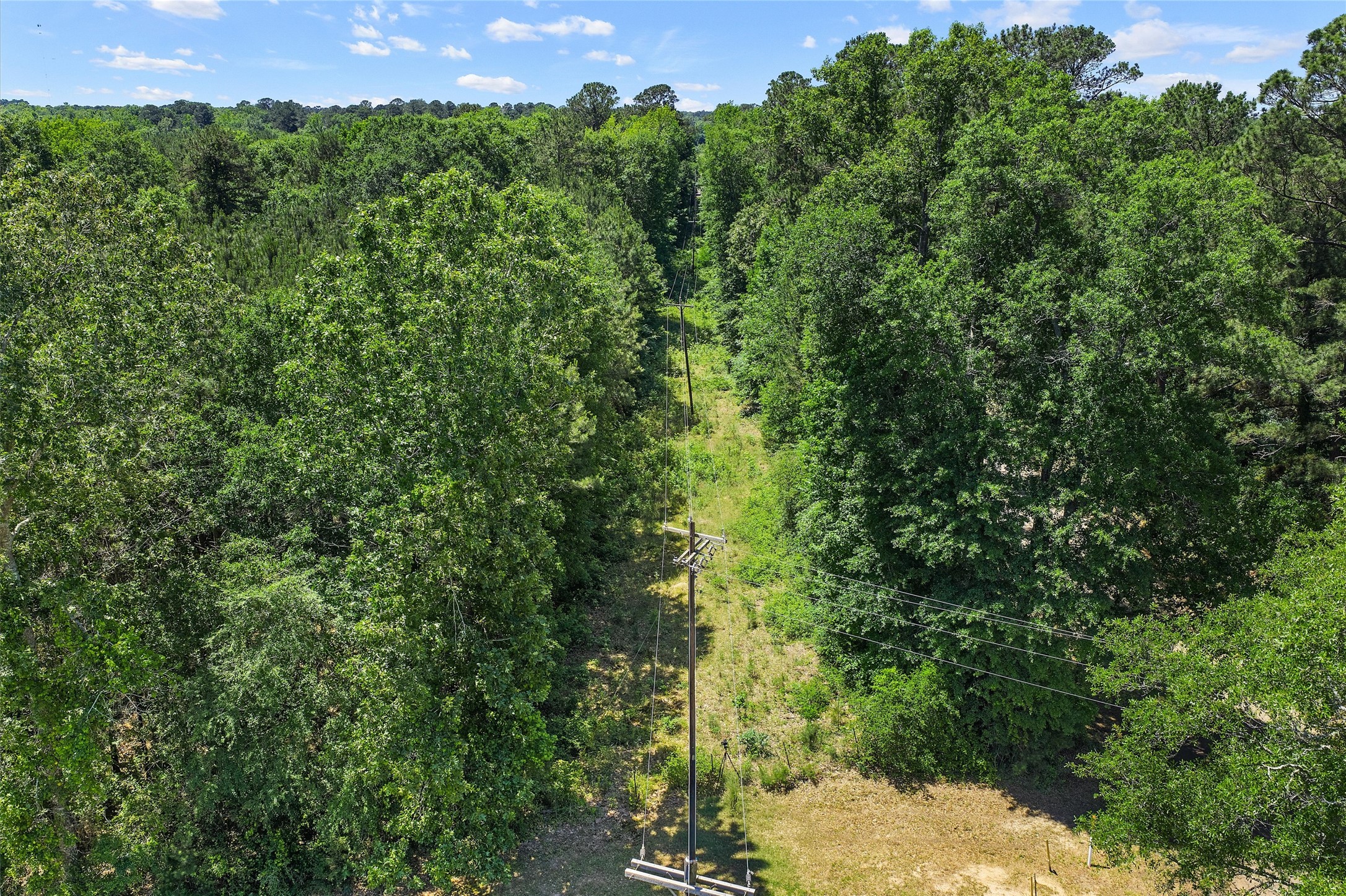 Tbd County Road 3361 De Berry TX 75639