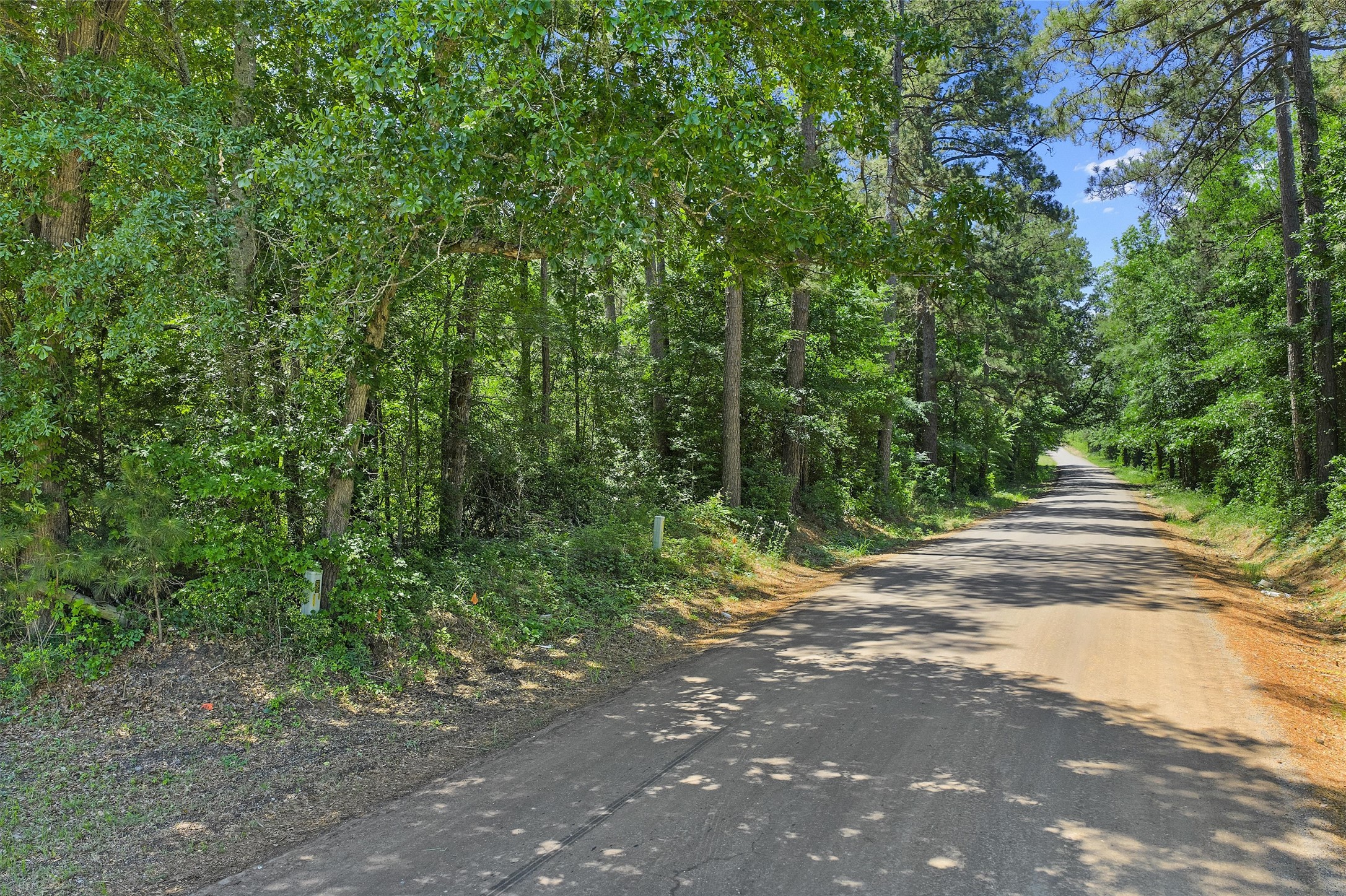 Tbd County Road 3361 De Berry TX 75639