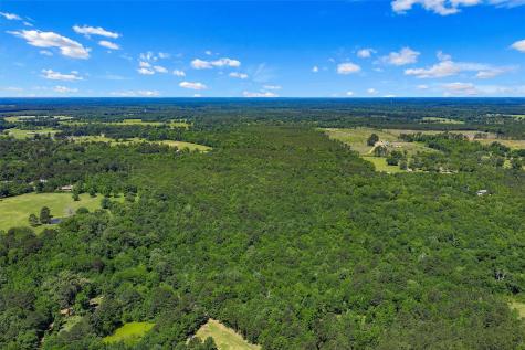Tbd County Road 3361 De Berry TX 75639
