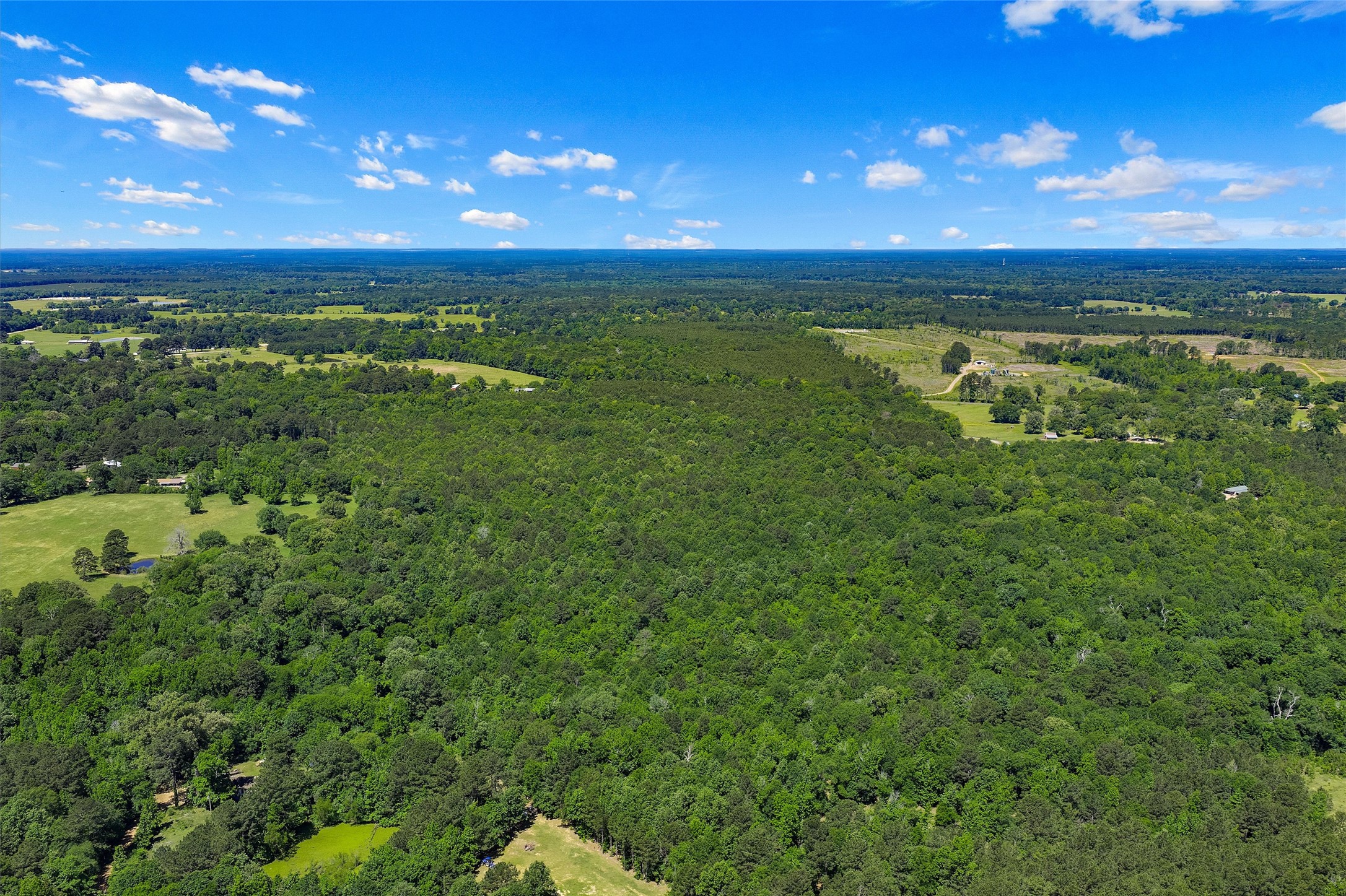 Tbd County Road 3361 De Berry TX 75639