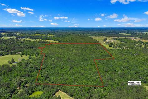 Tbd County Road 3361 De Berry TX 75639