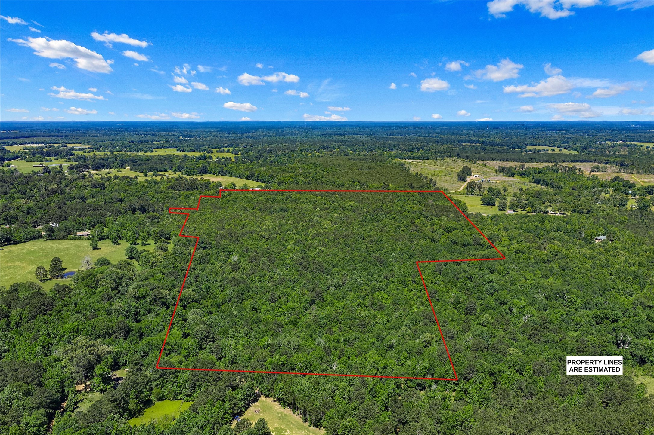 Tbd County Road 3361 De Berry TX 75639