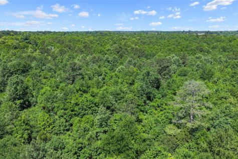 Tbd County Road 3361 De Berry TX 75639
