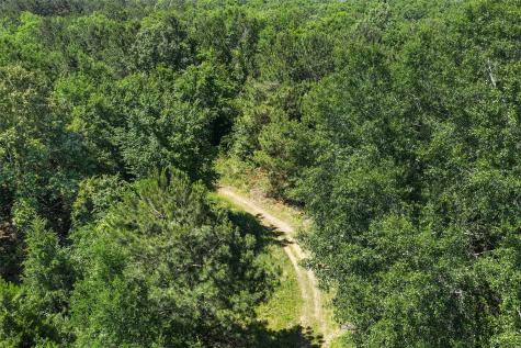 Tbd County Road 3361 De Berry TX 75639