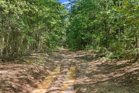 Tbd County Road 3361 De Berry TX 75639