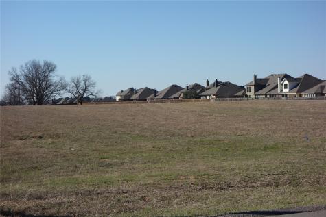 Lot 14 Moura Court Joshua TX 76058