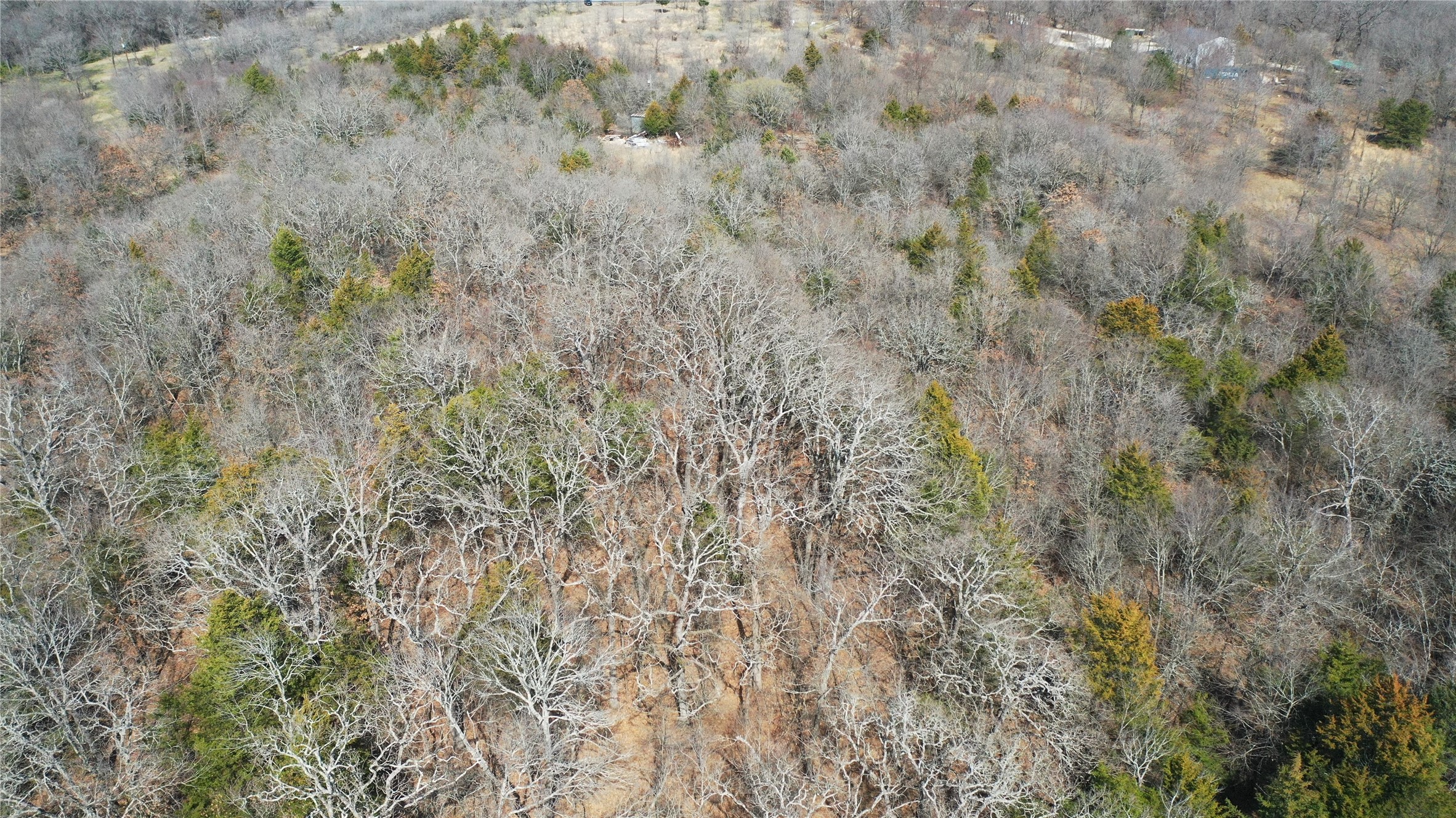 6484 State Highway 56 Bells TX 75414