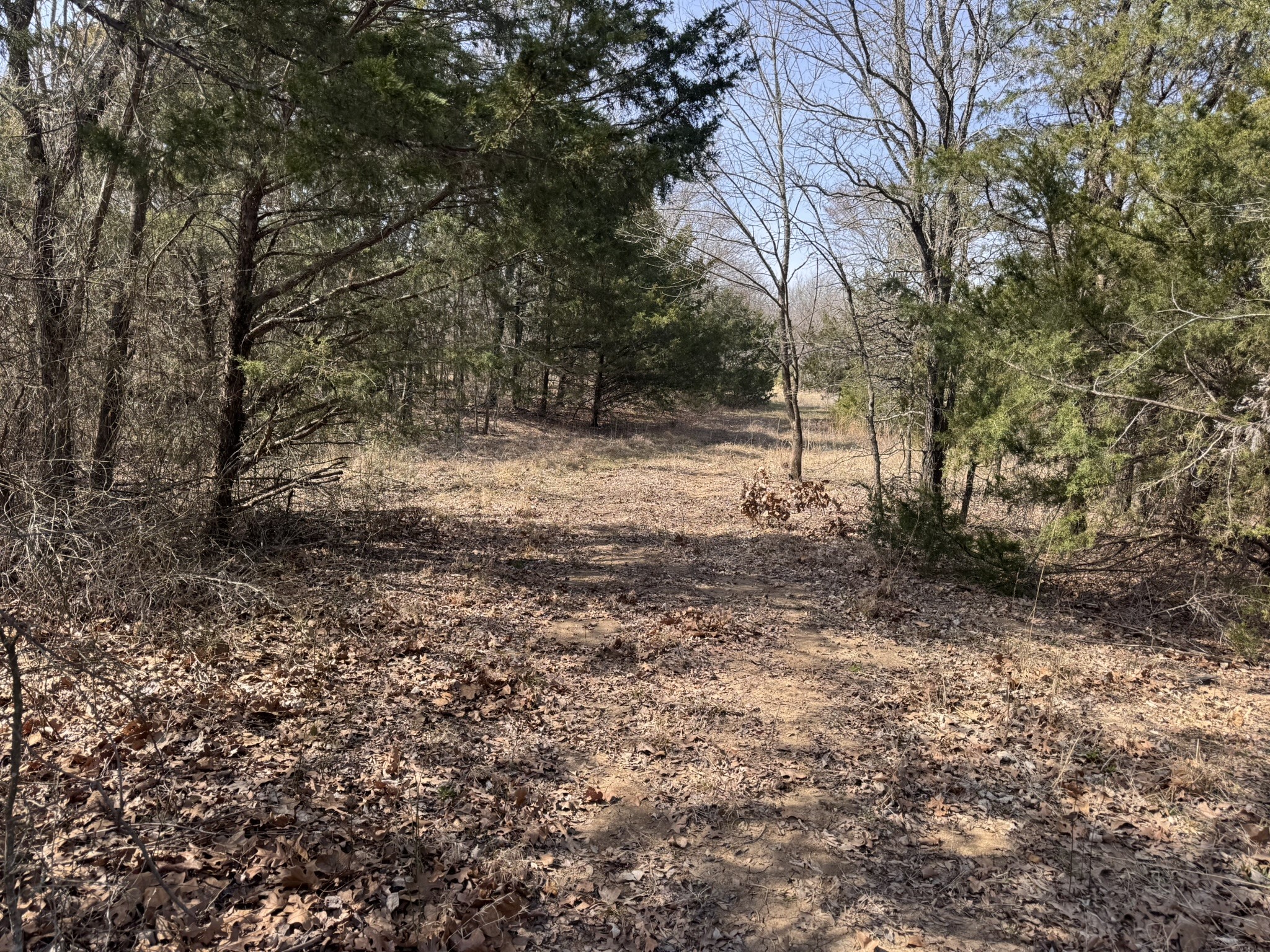 6484 State Highway 56 Bells TX 75414