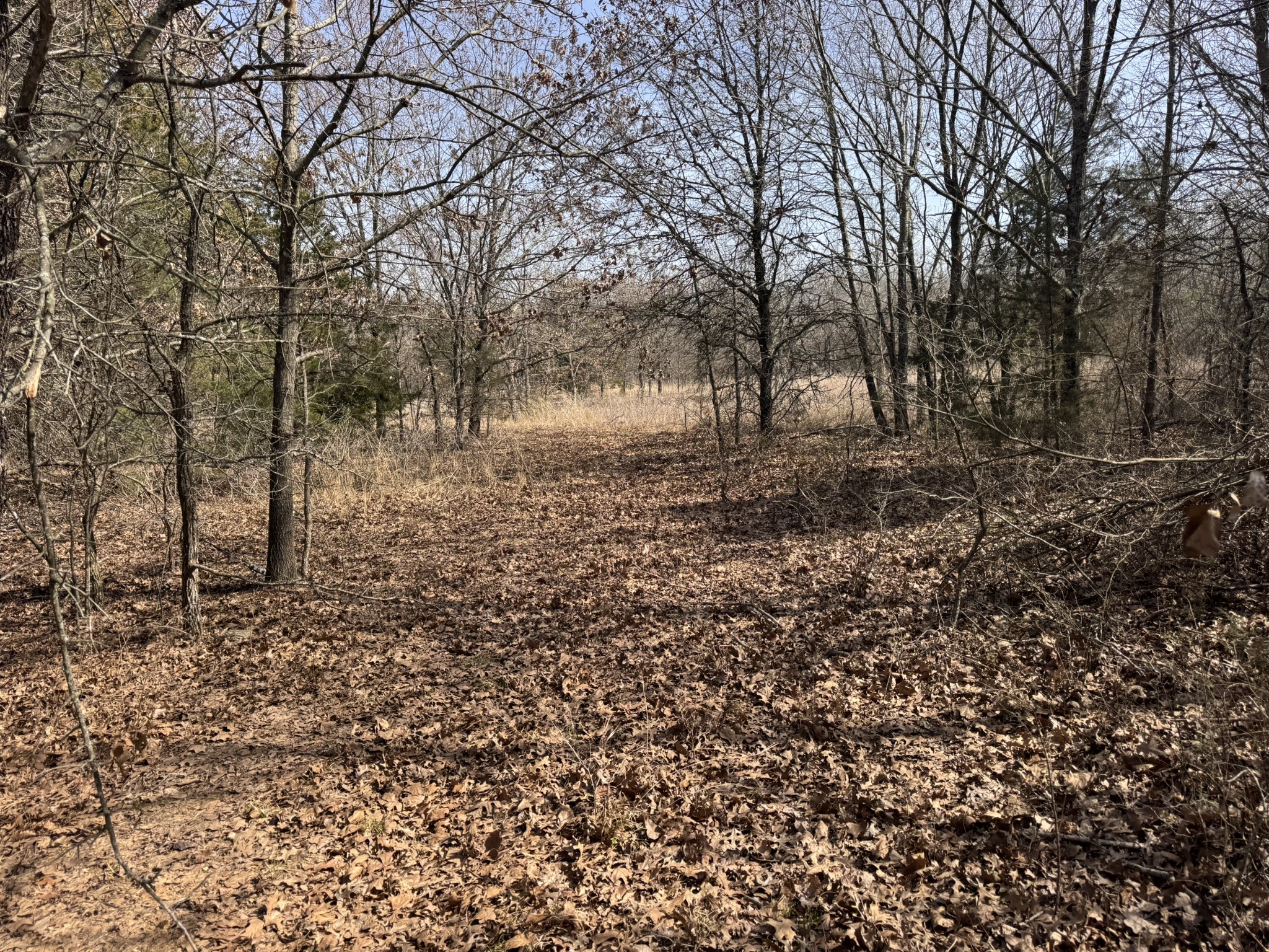 6484 State Highway 56 Bells TX 75414