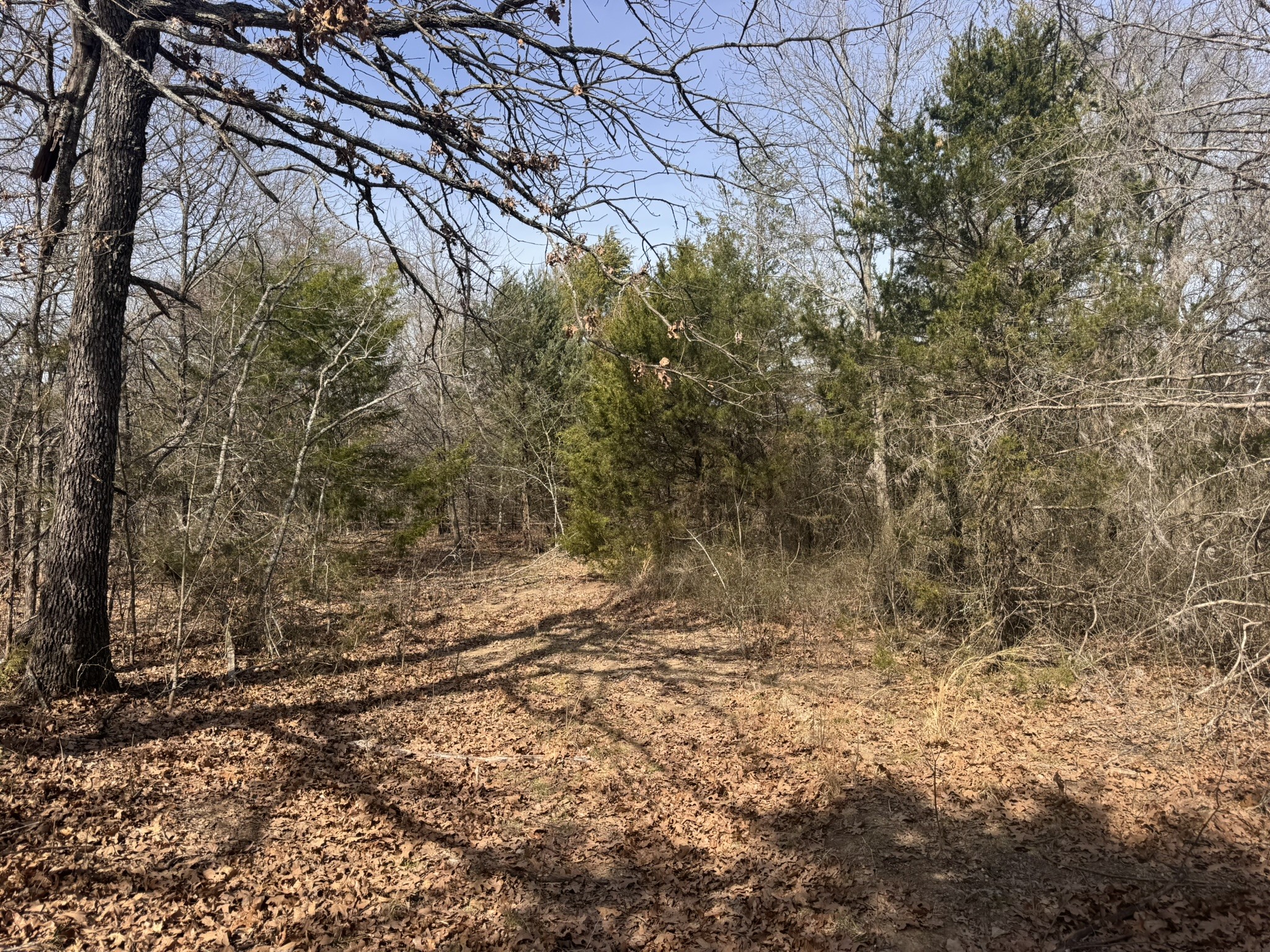 6484 State Highway 56 Bells TX 75414