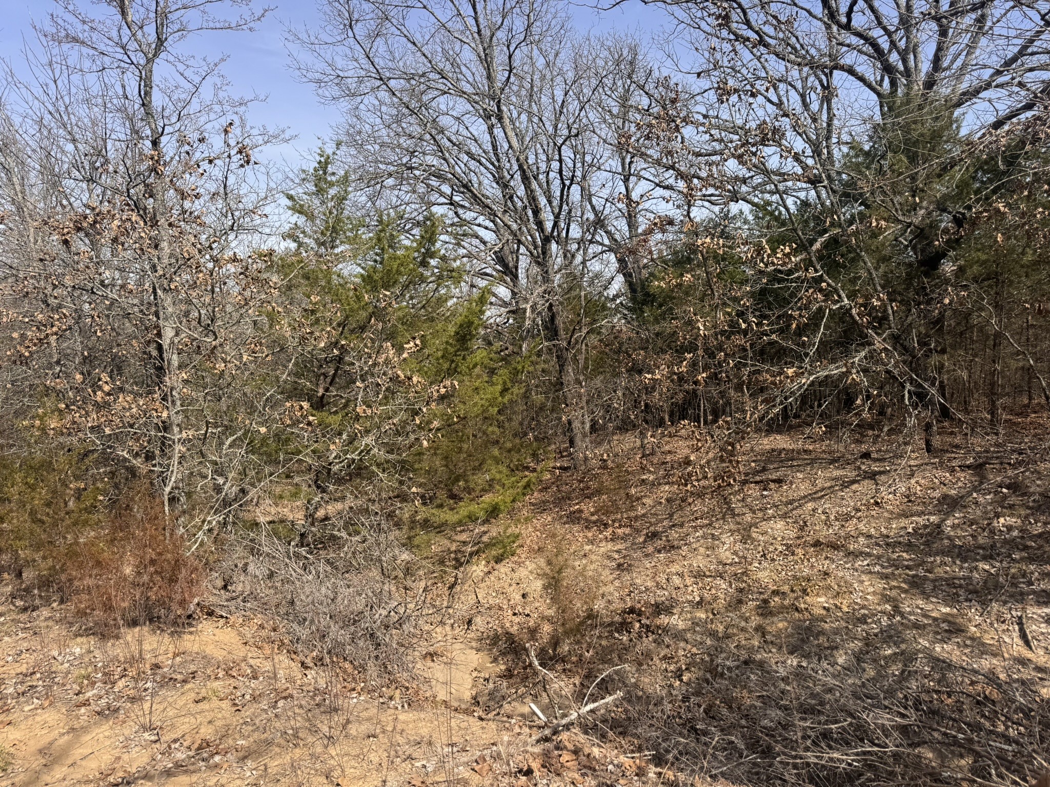 6484 State Highway 56 Bells TX 75414