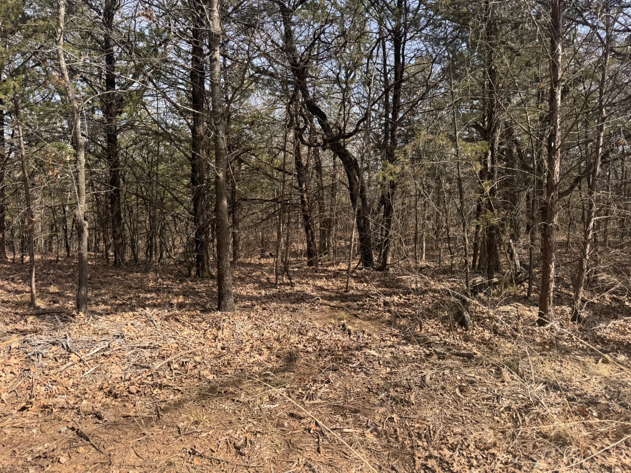 6484 State Highway 56 Bells TX 75414