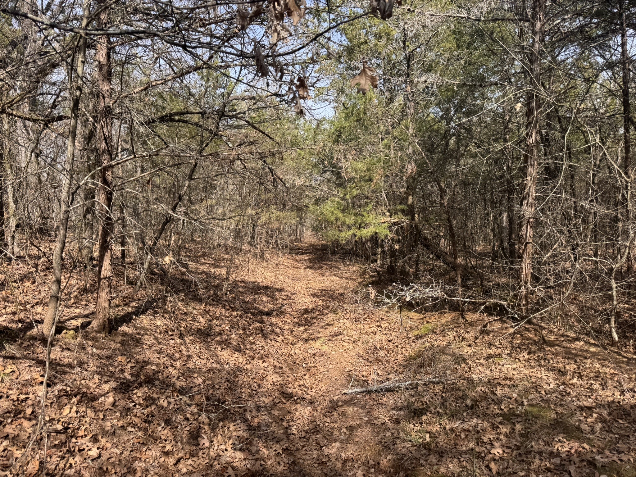 6484 State Highway 56 Bells TX 75414